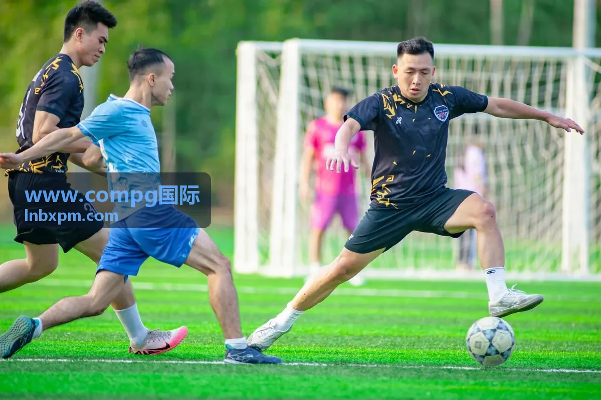 compg国际完成出口整备的挖掘机在堆场等待发运