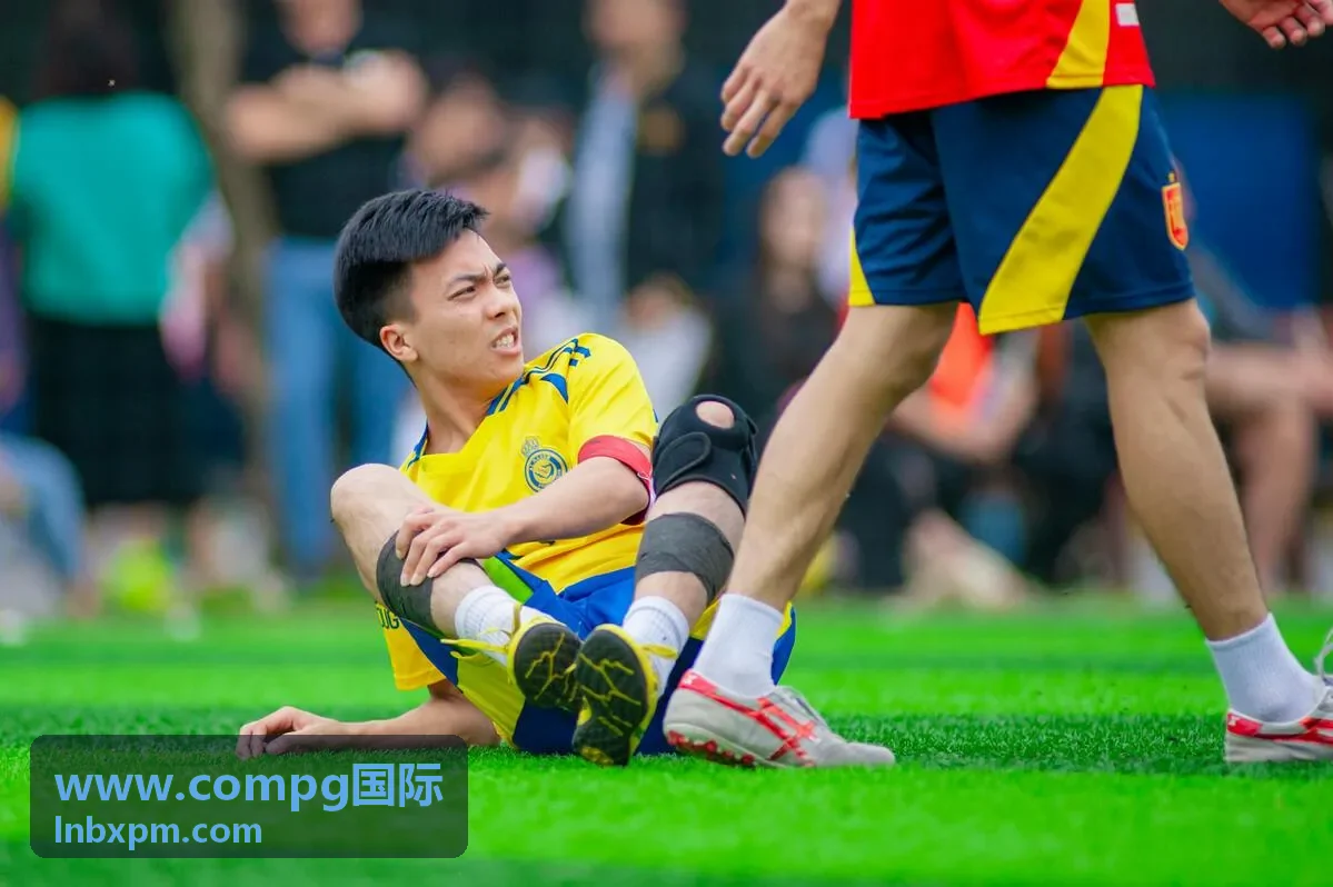 compg国际 海外项目现场整备与全球服务